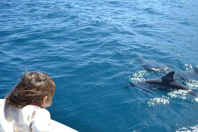 2-Hours Dolphin Excursion in Mauritius - The morning starts at La Balise Marina