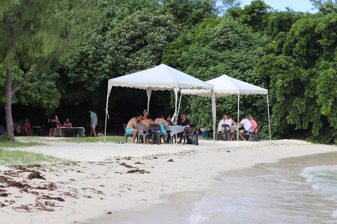 5 island tour all inclusive with Ile aux cerfs and snorkeling - What the $103 price includes