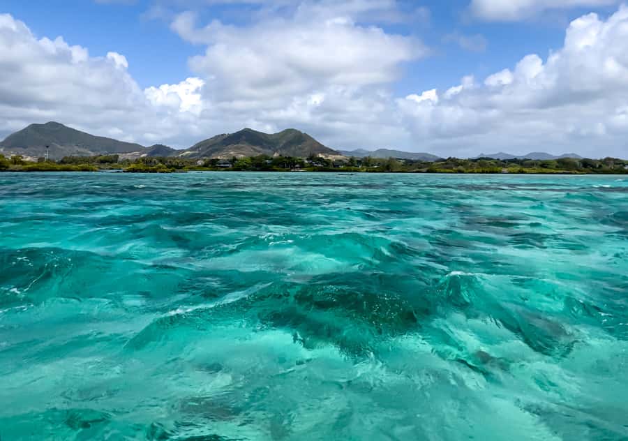 5 Islands Boat Trip, Snorkeling and Lunch on Ile aux Cerfs - What the guide can change