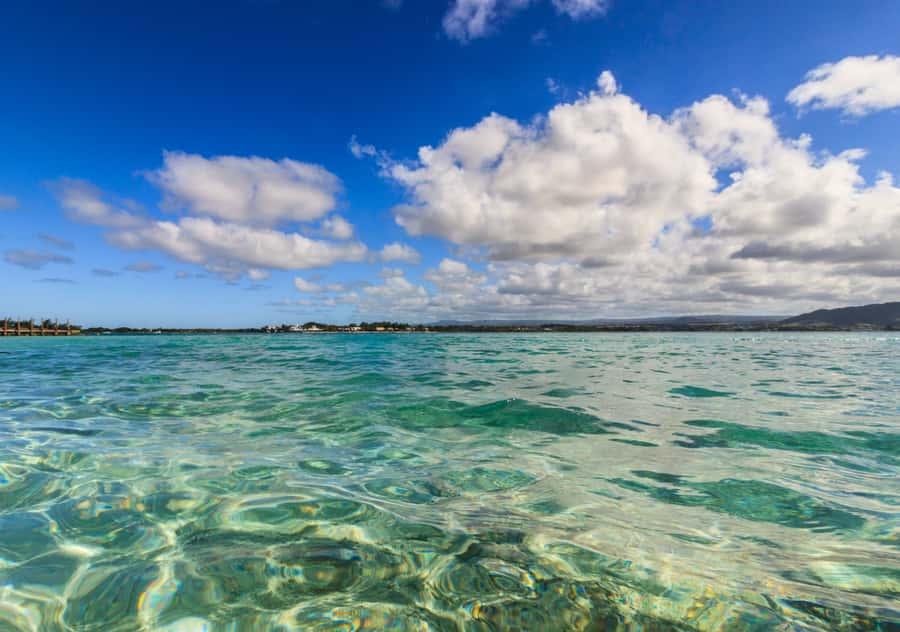 5 Islands Boat Trip, Snorkeling and Lunch on Ile aux Cerfs - Who should book this island trip?