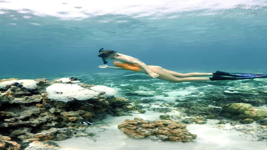 5 Islands Private Speedboat w/ Snorkeling + Lunch & Drinks - How the guide can shape the experience