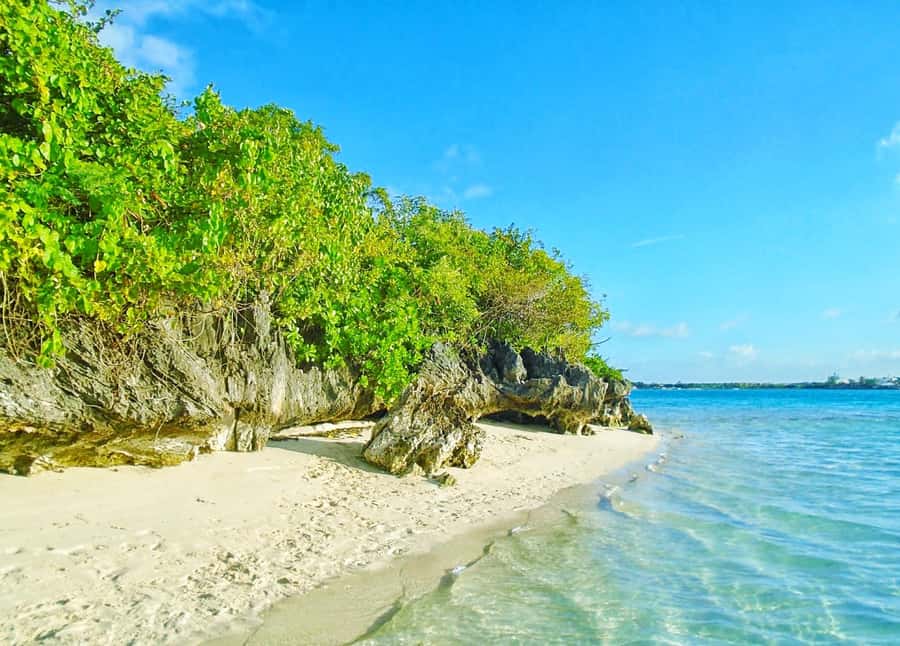 5 Islands Trip & Ile aux Cerfs inc Lunch, Drinks & Transport - Key points at a glance