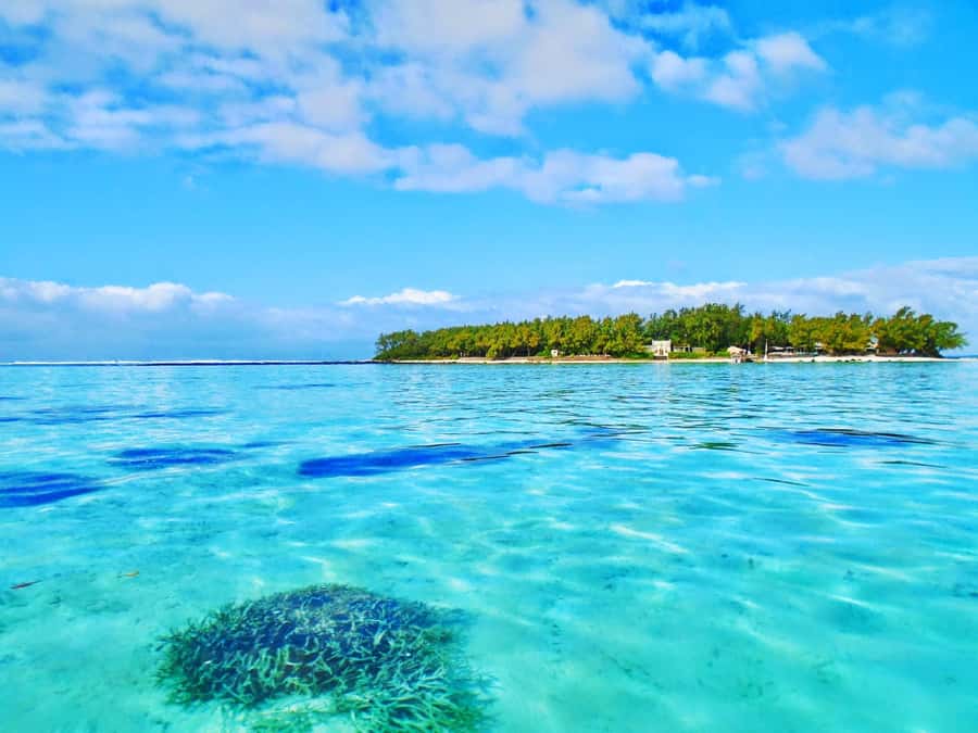 5 Islands Trip & Ile aux Cerfs inc Lunch, Drinks & Transport - Who will enjoy this six-hour boat trip
