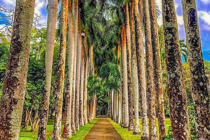 8-Hour Private City and North Tour in Mauritius - Pamplemousses and the garden’s giant plants