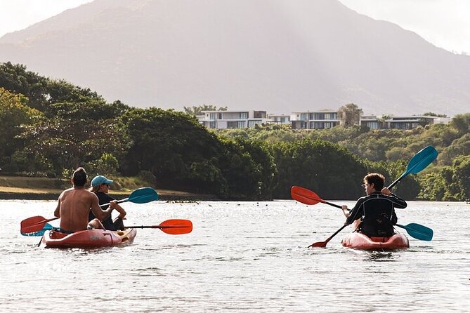 Afternoon Guided Kayak Activity on the Tamarin River - Watching the banks for monkeys, crabs, and birds