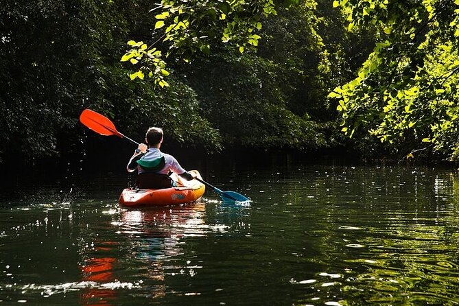 Afternoon Guided Kayak Activity on the Tamarin River - What the afternoon timing means for your day