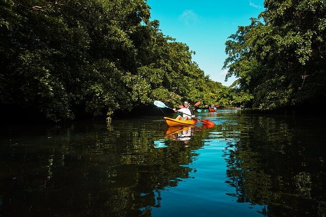 Afternoon Guided Kayak Activity on the Tamarin River - Is $49.40 a fair price?