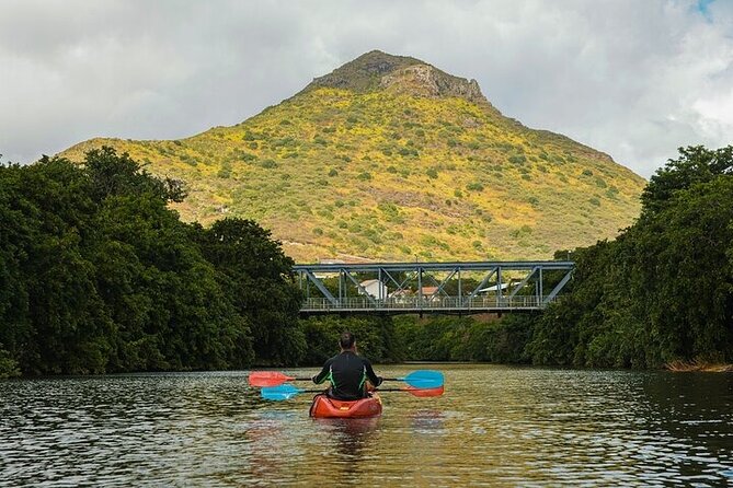 Afternoon Guided Kayak Activity on the Tamarin River - Who will enjoy this river outing most?