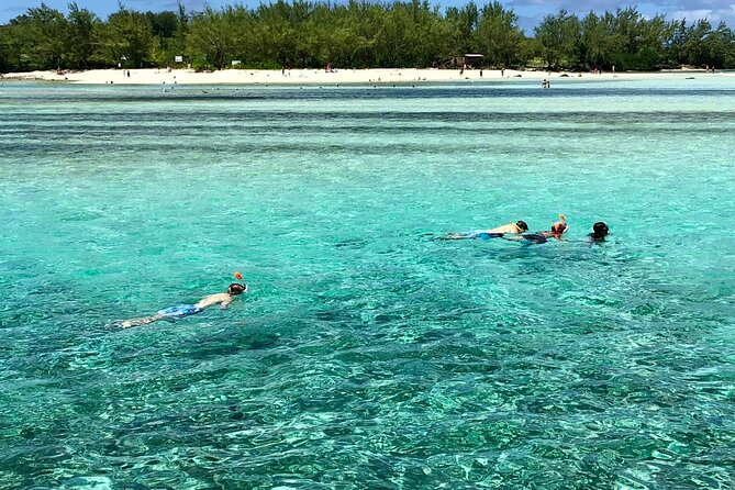All inclusive CATAMARAN with BBQ : Ile aux cerf & GRSE waterfall - Weather, cancellation, and booking details