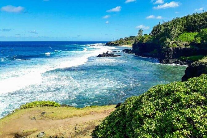 All Inclusive Full Day Tour: Chamarel Rhumrie,7-Coloured & Lunch - Black River Gorges brings forest views and monkeys