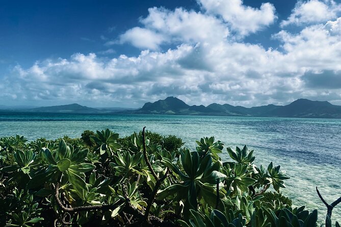 An Excursion of the South East Lagoon of Mauritius - Key points to know before booking