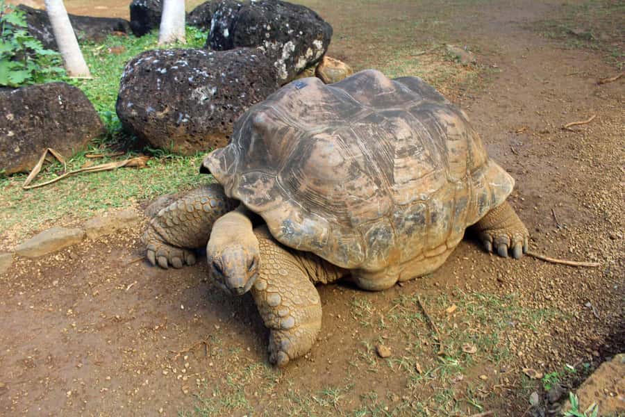 Animal & Nature Parks, Private Tour - A full southern day from your hotel