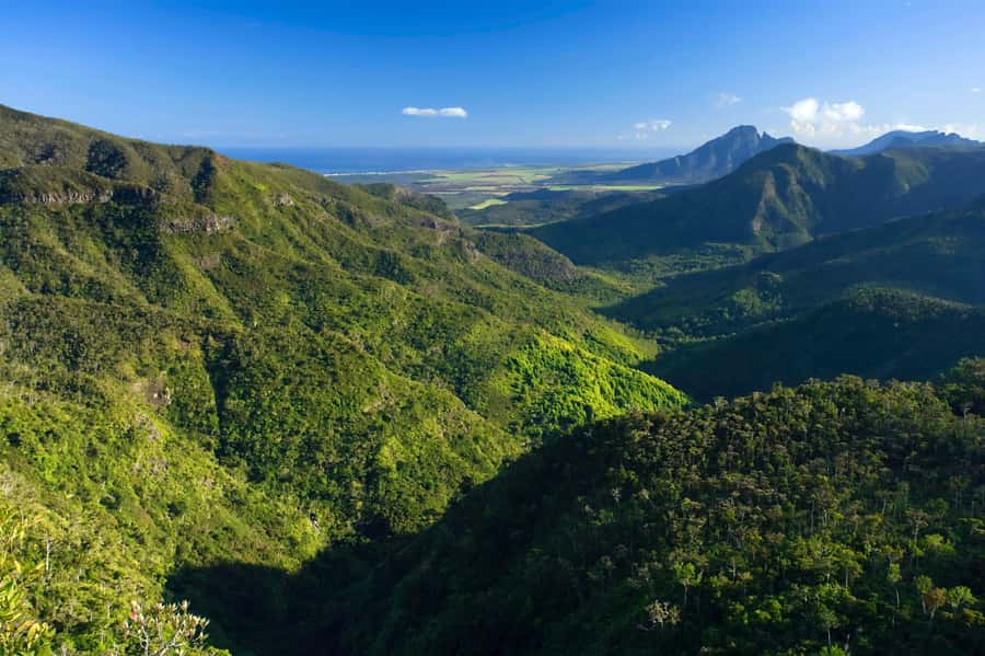 Animal & Nature Parks, Private Tour - Waterfalls in the South West
