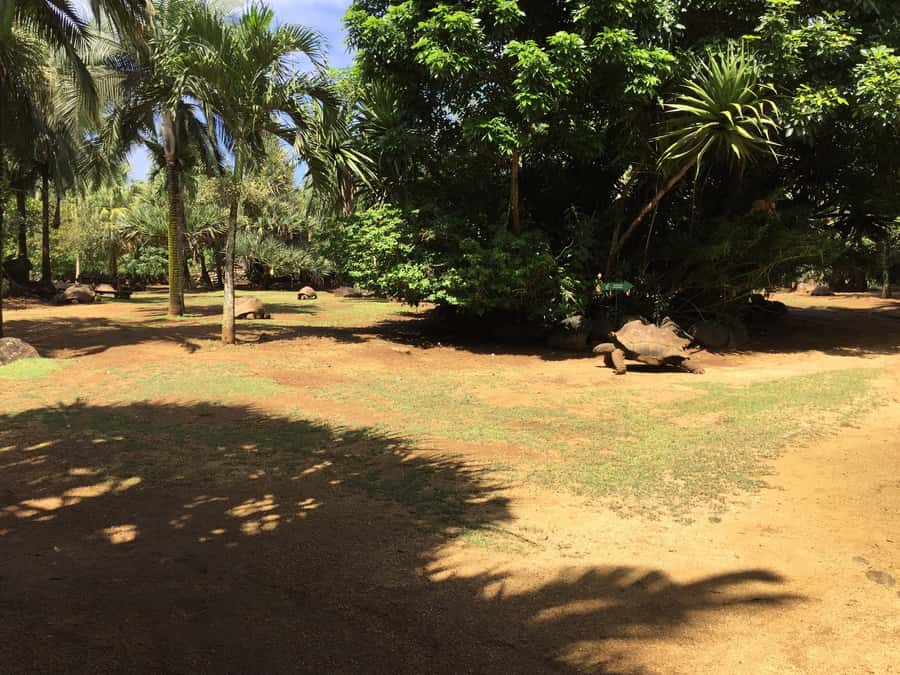 Animal & Nature Parks, Private Tour - Practical booking advice before you go