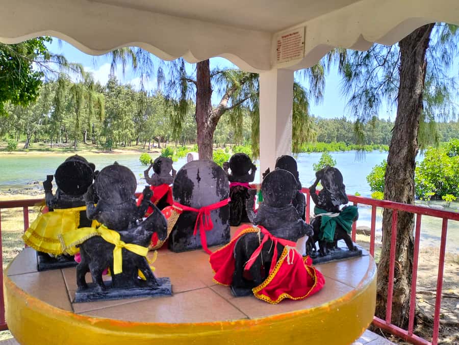 Authentic North East Coast E-bike Guided Tour - Why this bike tour shows a different Mauritius