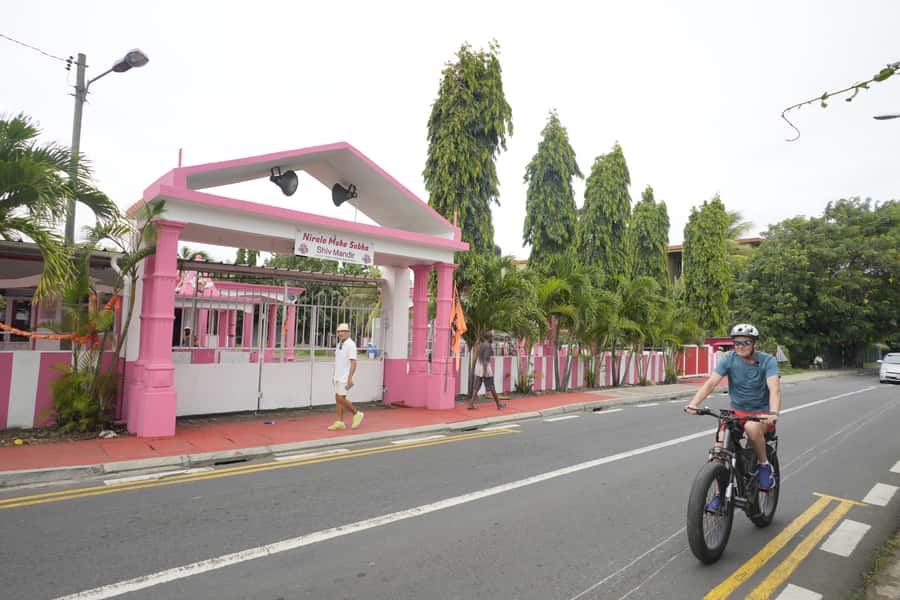 Authentic North East Coast E-bike Guided Tour - Mangroves, oysters, turtles, and old tortoises