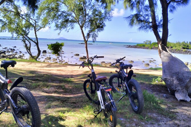 Authentic North East Coast E-bikes Guided Tour - What the electric assistance really adds