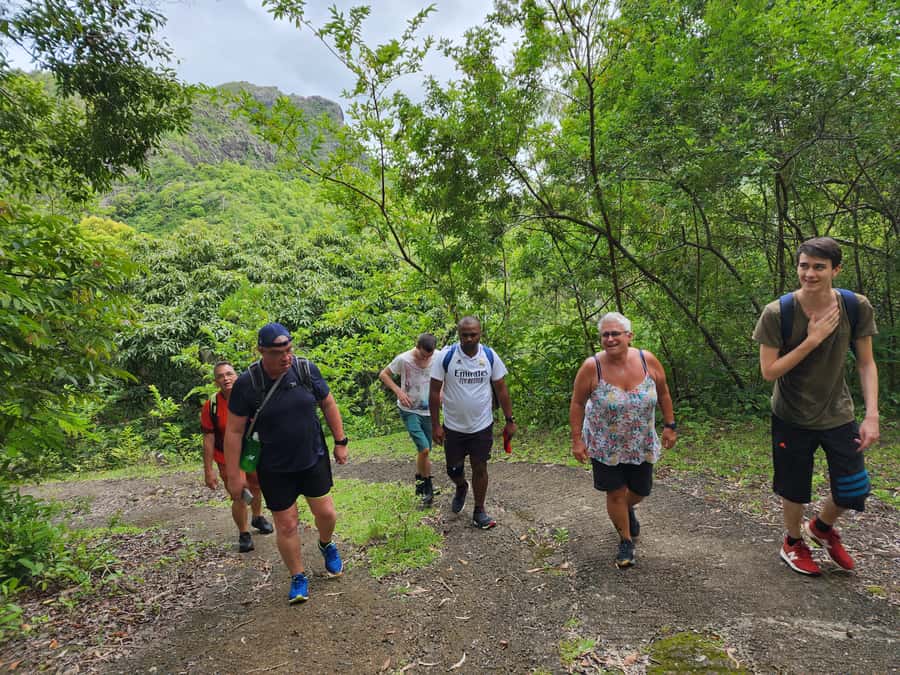 Black River: Guided Hike in the Black River Gorges Valley - Key points to know before you book