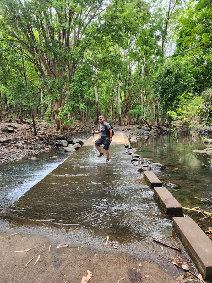 Black River: Guided Hike in the Black River Gorges Valley - Black River Gorges is a workout, not a flat forest stroll