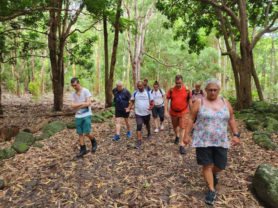 Black River: Guided Hike in the Black River Gorges Valley - Who will enjoy this Black River hike?