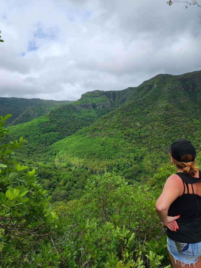 Black River: Guided Hike in the Black River Gorges Valley - Forest paths, rare plants, and open mountain views
