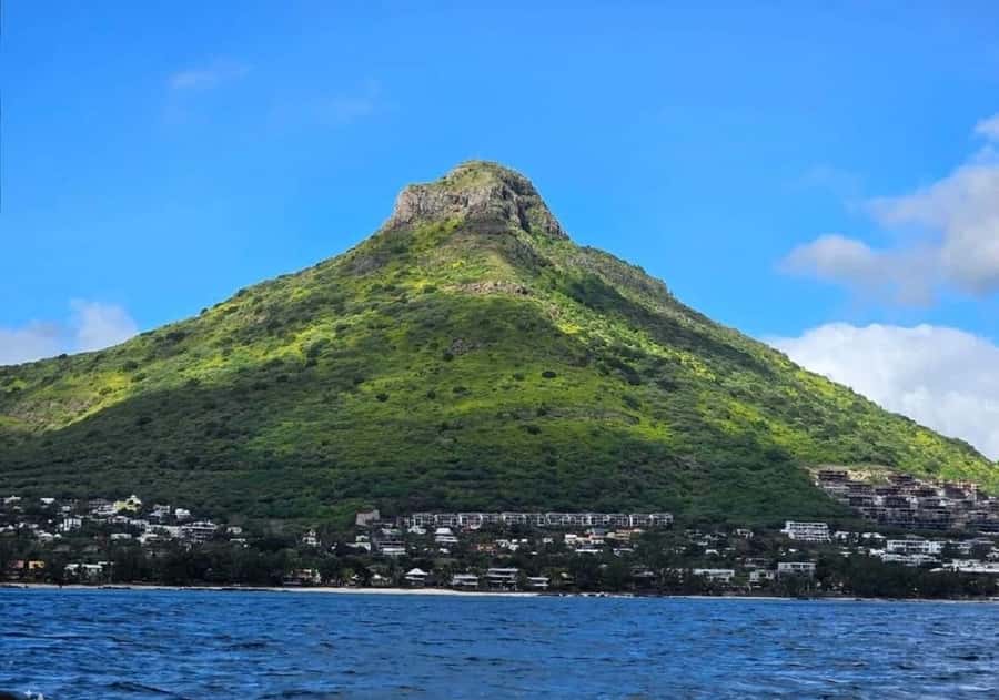 Black River: Swim with Dolphin Speed Boat Tour with lunch - Île aux Bénitiers and the long lunch stop