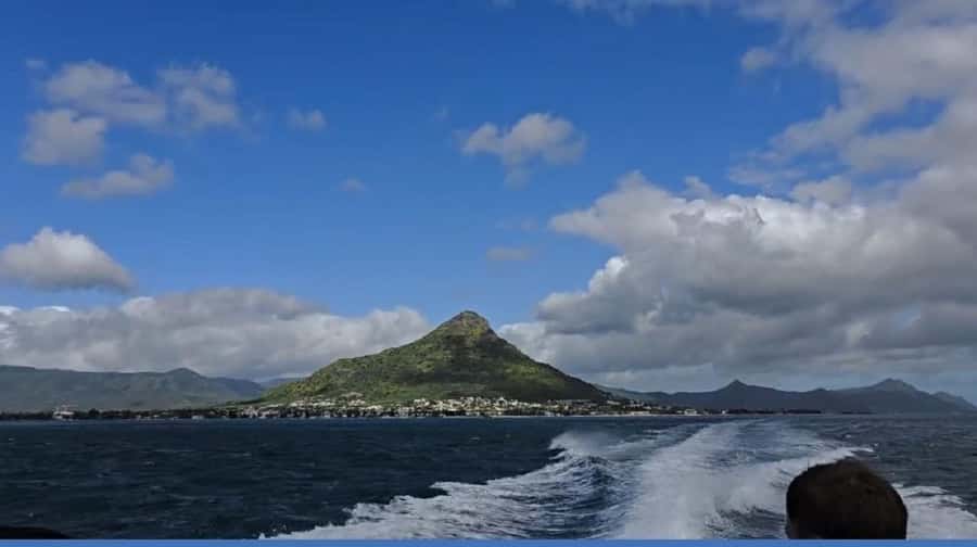 Black River: Swim with Dolphin Speed Boat Tour with lunch - What the $74 price really includes