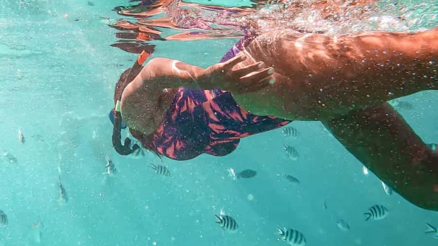 Blue Bay: Blue Bay Glass Bottom Boat Visit and Snorkeling - Key points at a glance