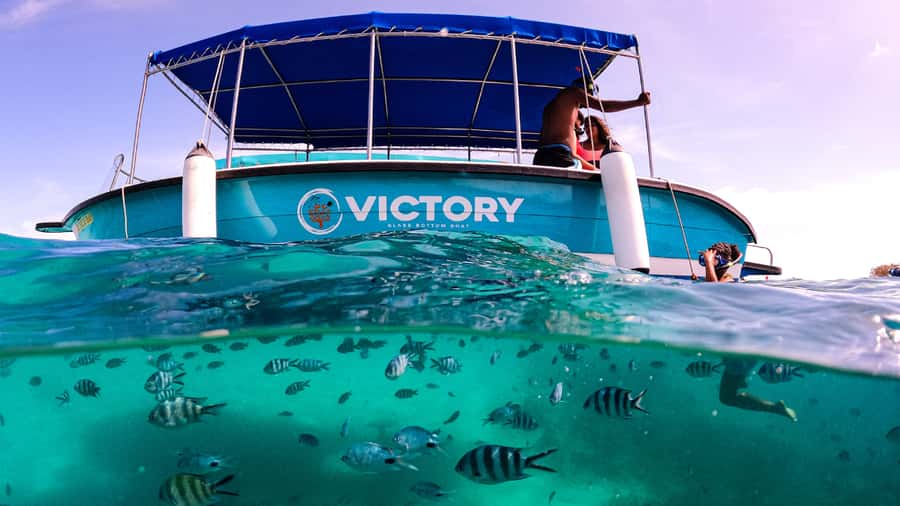 Blue Bay: Blue Bay Glass Bottom Boat Visit and Snorkeling - Should you book the Blue Bay glass-bottom boat tour?