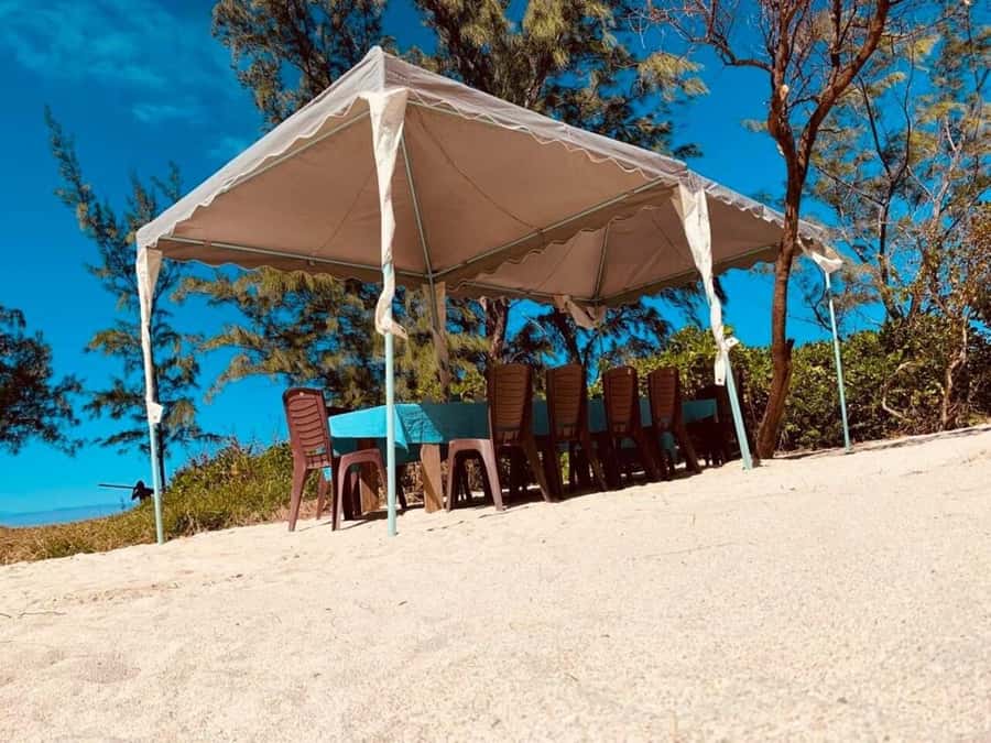 Blue bay: boat trip for ile au cerf (5 islands, barbecue) - Ile aux Aigrettes for swimming and photographs