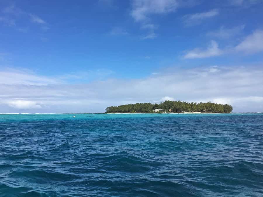 Blue Bay: Half-Day Snorkeling Trip with Creole Picnic Lunch - The second reef stop and the ride back