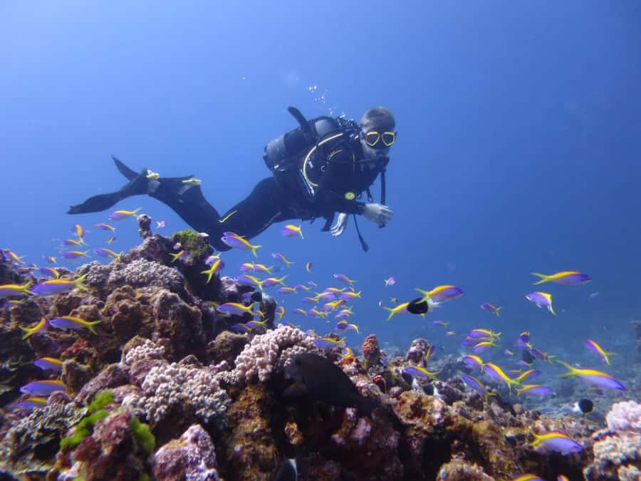 Blue Bay: LEARN TO DIVE TODAY with CORAL DIVING Team - Who will get the most from this experience