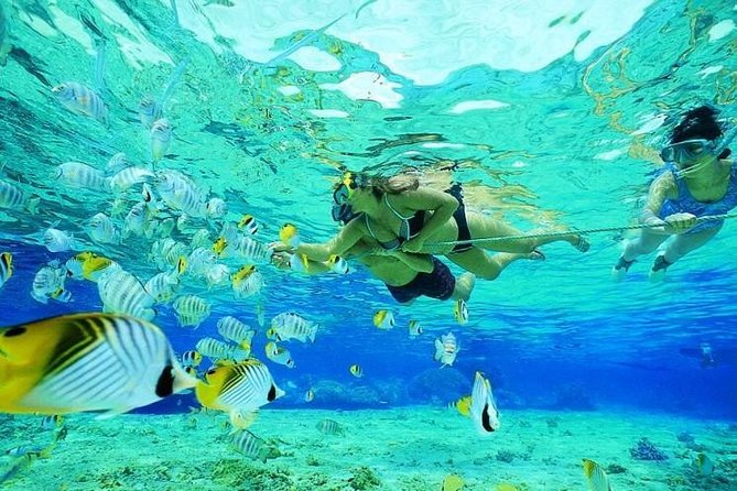 Catamaran Adventure Full Day: Ile aux cerfs,GRSE Waterfall,Snorkeling &BBQ Lunch - Who should book this catamaran day?