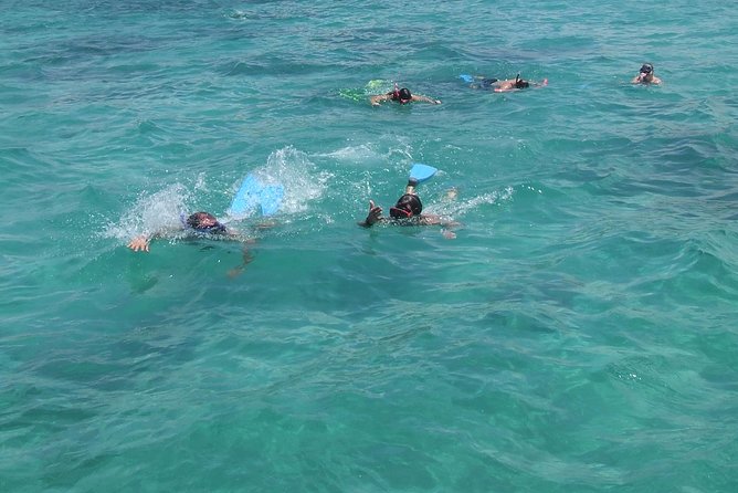 Catamaran Cruise: Isle aux Cerfs, Including BBQ Lunch, in Mauritius - Who will enjoy this cruise most