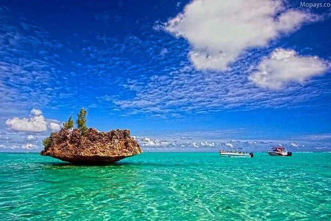 Catamaran Cruise to Ile Aux Bénitiers: Dolphin watch, Crystal Rock & Transfer - Lunch on the water, then time at Ile aux Bénitiers