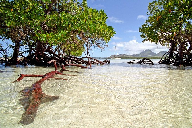 Catamaran Experience to Ile aux cerf: incl: Parasailing, Lunch, GRSE & Transfer - From hotel pickup to Trou d’Eau Douce
