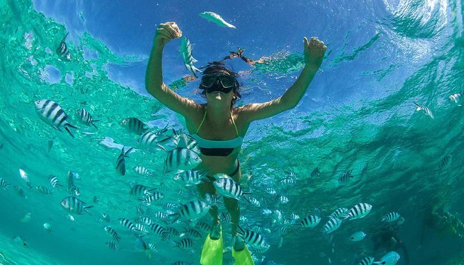 Catamaran Experience to Ile aux cerf: incl: Parasailing, Lunch, GRSE & Transfer - Grand River South East and the short speedboat ride