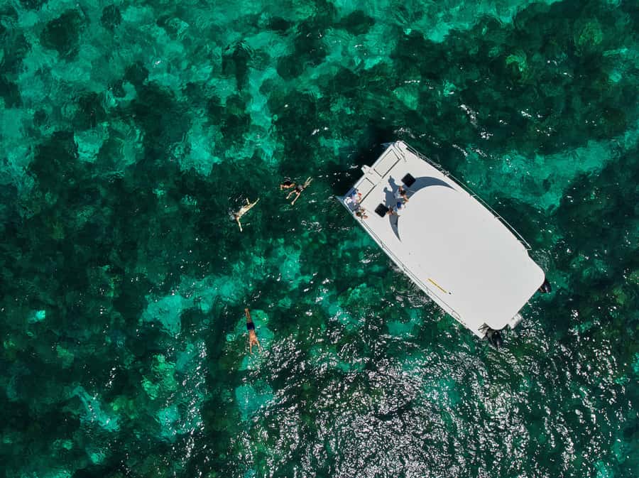 Catamaran Mauritius: South East 5 Islands Catamaran Cruises - Île aux Aigrettes and wildlife watching