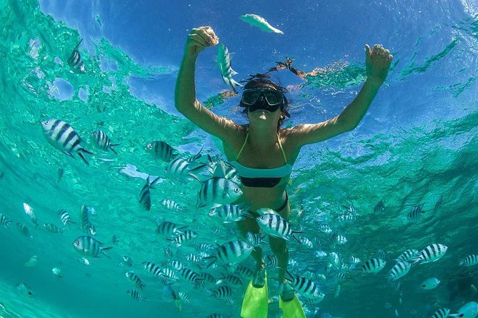 Catamaran to Ile aux Cerf with Parasailing, Tube Riding & Lunch - A full day built around Ile aux Cerfs