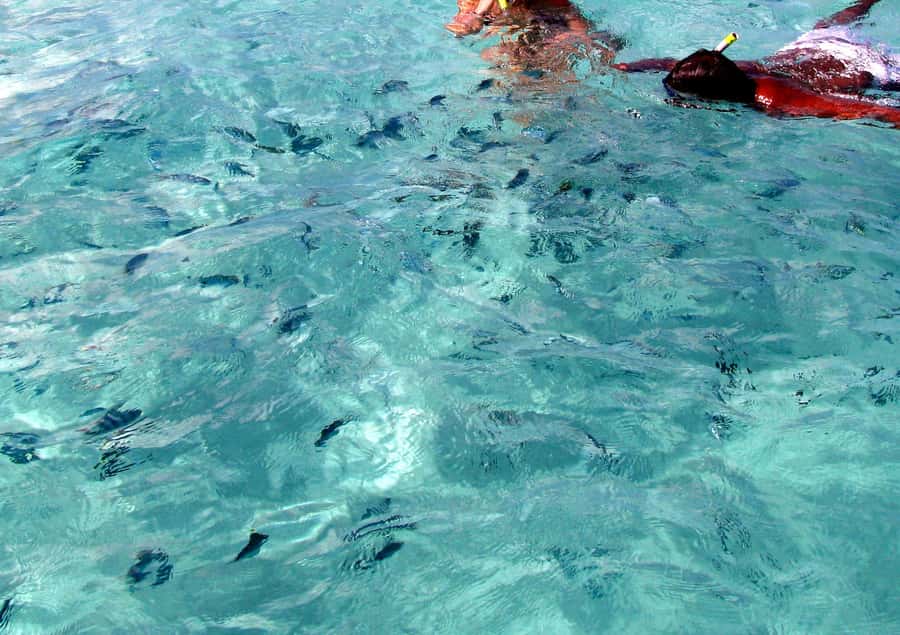 Catamaran Trip to Ile au Cerfs with Lunch and GRSE waterfall - Weather, comfort, and what to pack