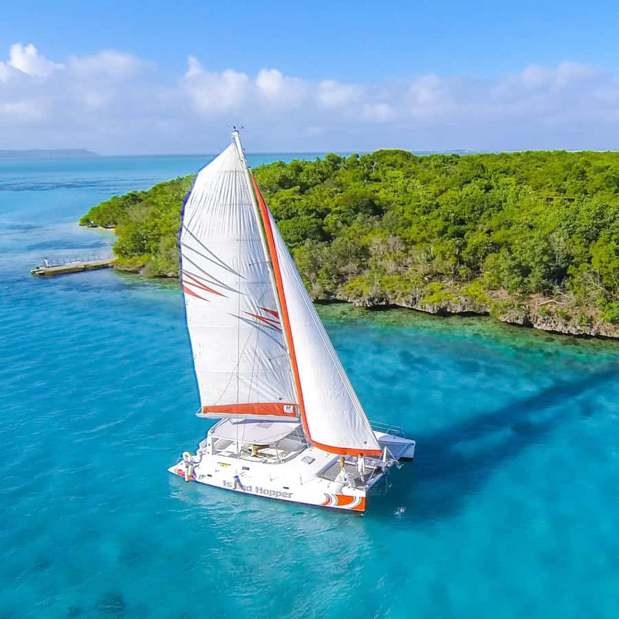 Catamaran trip to Ile Aux Cerfs With Two Way Transportation - Safety, timing, and small planning points