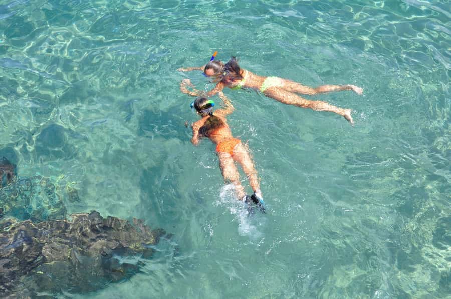 Coin de Mire 2-Hour Private Snorkeling Trip - A fast ride from Grand Baie to Coin de Mire