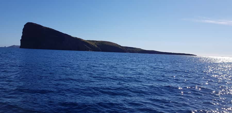 Coin de Mire 2-Hour Private Snorkeling Trip - Morning or afternoon: which session works best?