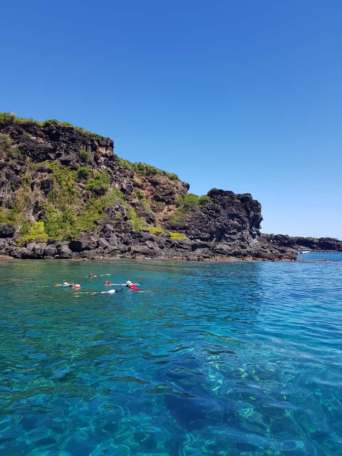 Coin de Mire 2-Hour Private Snorkeling Trip - Who will enjoy this trip most?