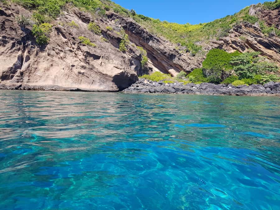 Coin de Mire 2-Hour Private Snorkeling Trip - Booking flexibility and practical details