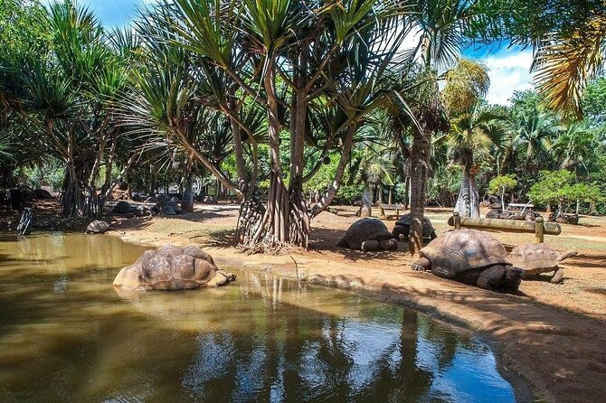 Crocodile Nature Park - The insectarium adds an unexpected second act