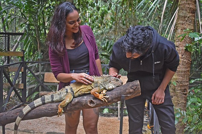 Crocodile Nature Park - Chamarel and the meal require a little planning