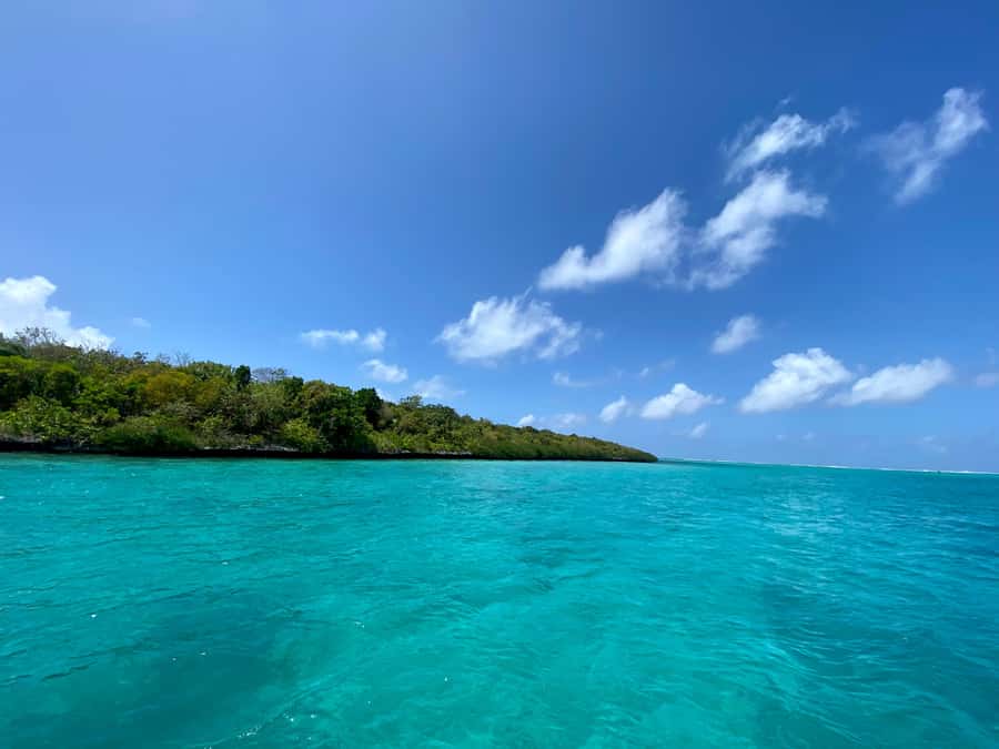 Day Trip at Ile aux Cerfs and other Gems of the South. - Ile aux Cerfs: beach time with lunch included