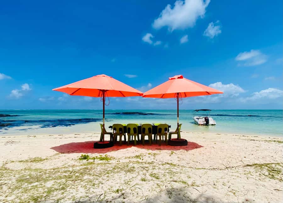 Day Trip at Ile aux Cerfs and other Gems of the South. - Guides Lucas and Sebastian make a practical difference