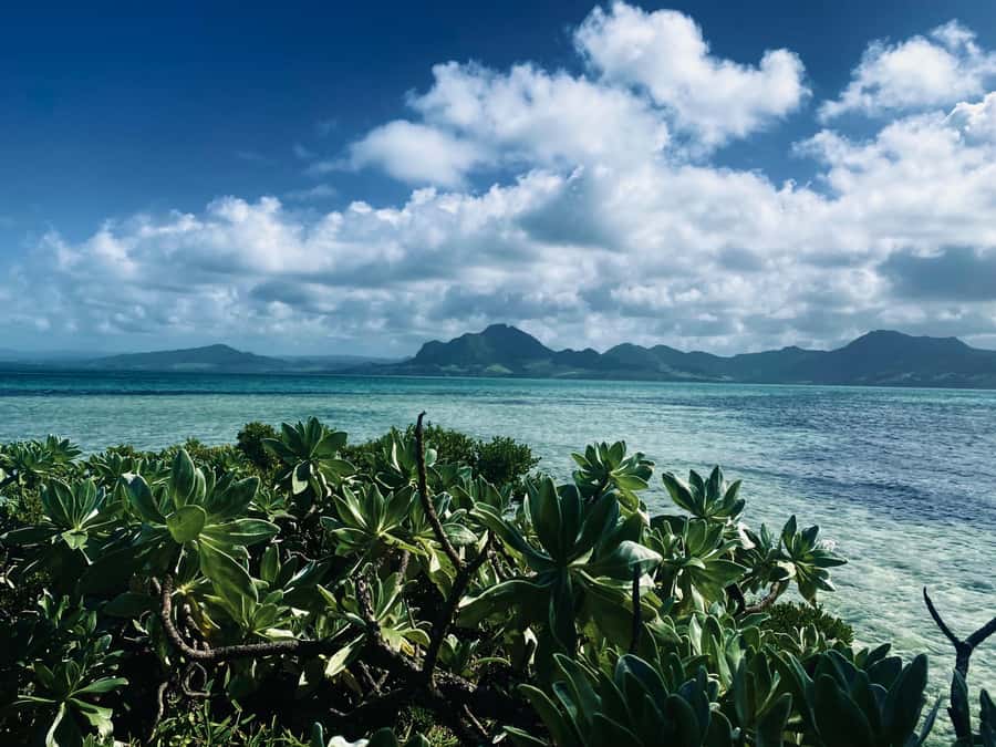 Day Trip at Ile aux Cerfs and other Gems of the South. - The first lagoon stops: snorkeling and coastal views